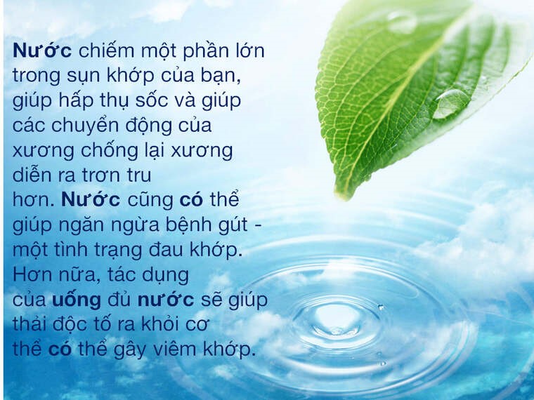 Về Chúng Tôi